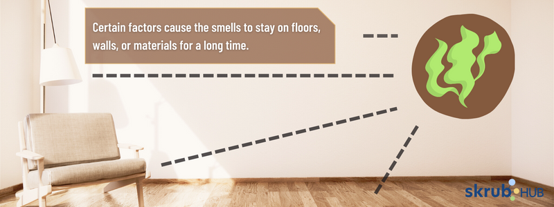 Certain factors cause the smells to stay on floors, walls, or materials for a long time.