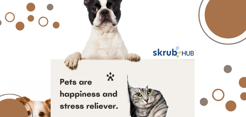 Pets can bring you happiness and stress at the same time
